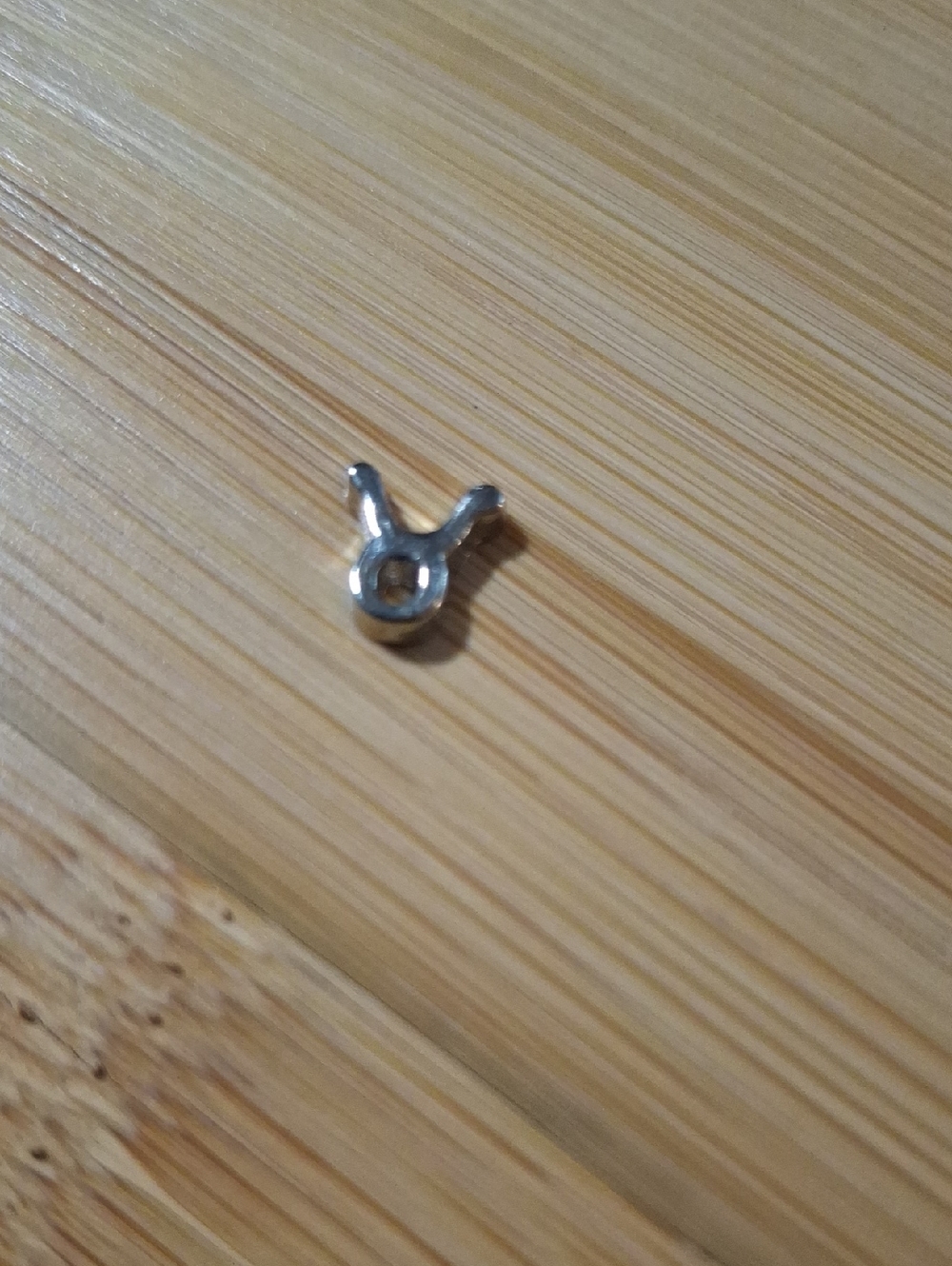 Taurus ♉️ Zodiac Charm For Floating Lockets
